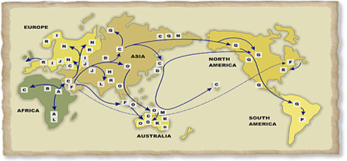 migration routes of the different Y types