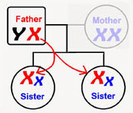 Y chromosome DNA testing - Brothers testing for the same father